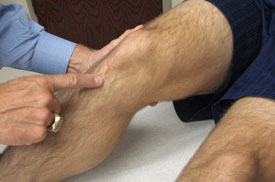 Palpation of the Knee