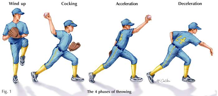 Phases of Throwing