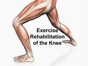 exercise rehab of the knee