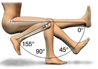 Range of Motion of Knee Joint