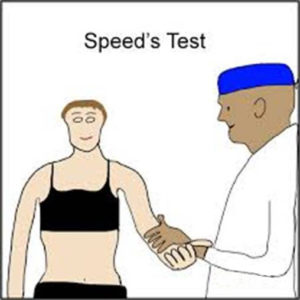 speed test for biceps