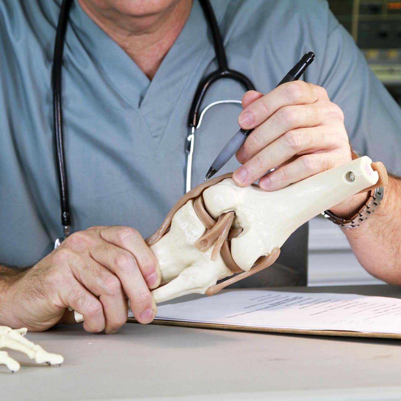 What Will You Ask The Knee Replacement Specialist?