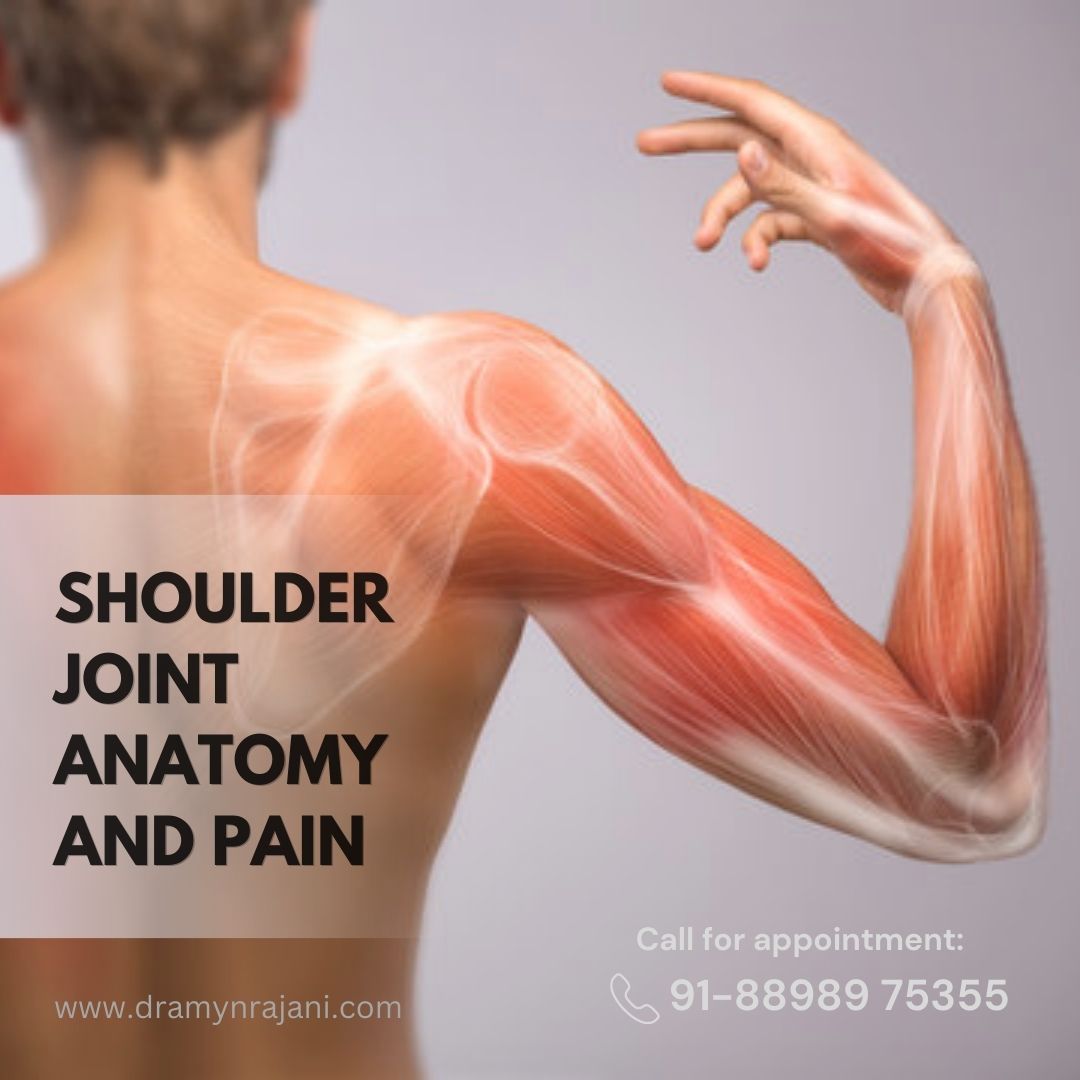Shoulder Joint Anatomy and Pain